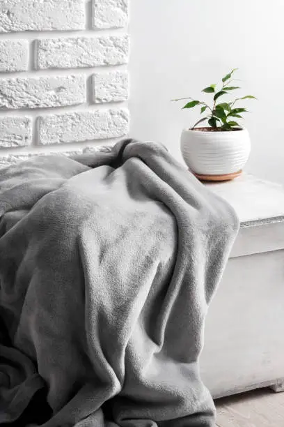 White wooden box with gray soft fleece blanket and young Ficus plant in white flower pot on it. White wall with bricks on background.