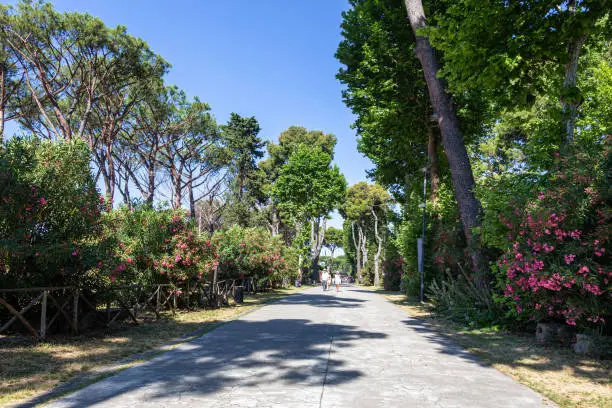 Photo of Pompeii, Company, Italy - June 25, 2019: A street surrounded by lush green trees and flowering shrubs under a generous Italian blue sky in the vicinity of the ancient complex of Pompeii.