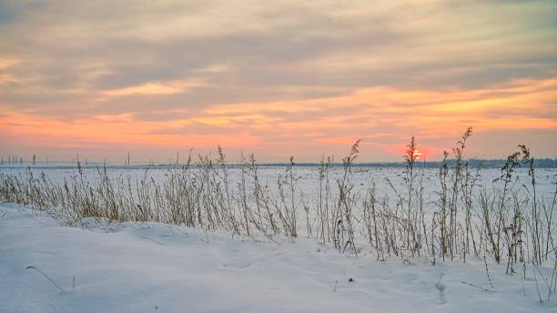 istock a field covered with snow at sunset 1303313900