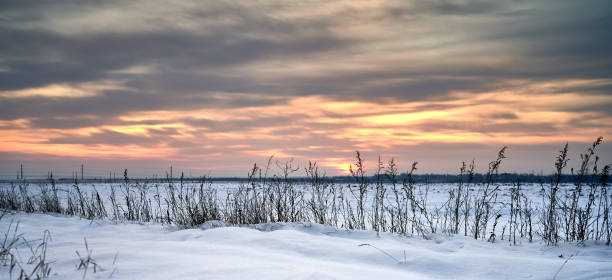 istock a field covered with snow at sunset 1303315008