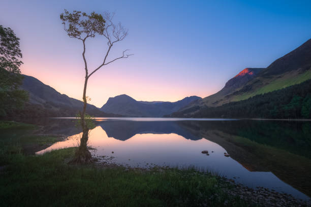 istock Lone Tree at Buttermere. Lake District, England 1303315717