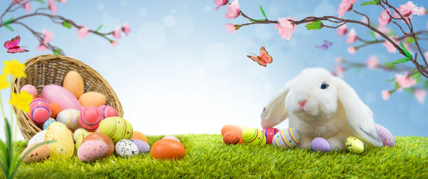 istock Cute White Bunny on Fresh Grass in the Meadow 1303315953