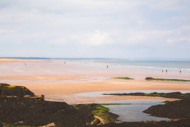 istock West Sands Beach. St Andrews, Scotland 1303318488