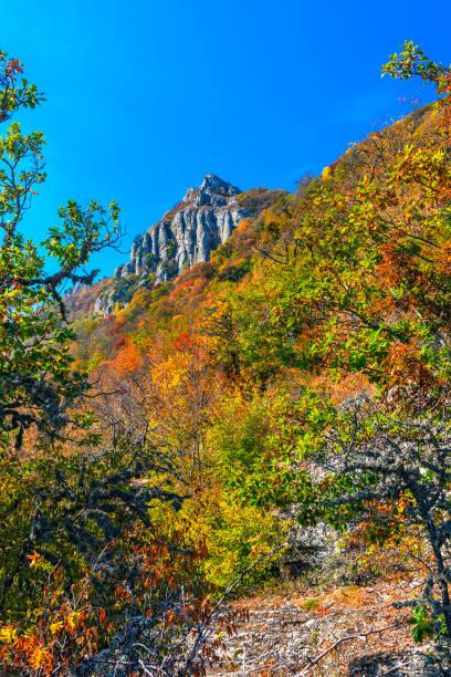 Landscape with mountains and forests of Crimea on an autumn day stock photo