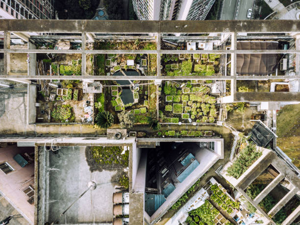 istock Drone Point View of Vegetable Garden on the Rooftop 1303321408