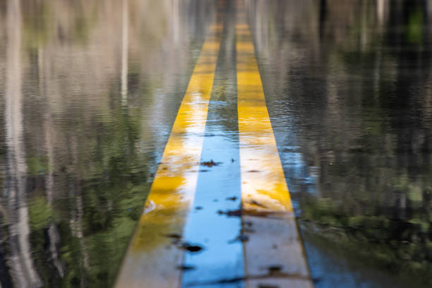 The yellow center lines of a road in South Carolina are underwater after heavy rain storms flooded a nearby river.