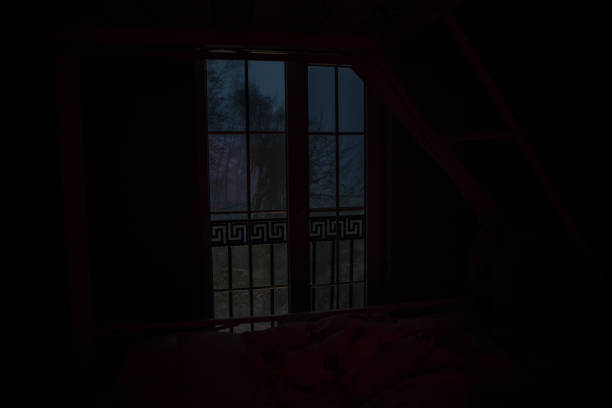 istock View from window frame to the winter forest at night. Selective focus 1303323901
