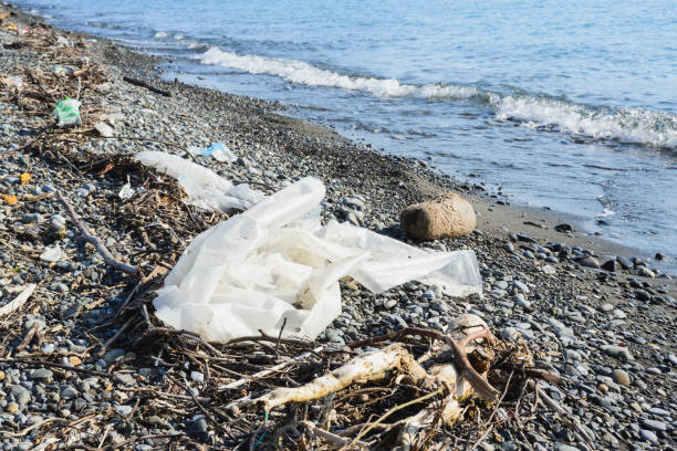 istock crumpled plastic polyethylene oilcloth, garbage, junk, litter, broken tree branches on pebble beach 1303329588