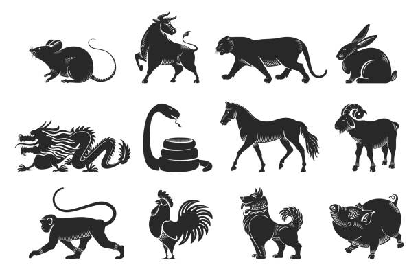 ilustrações de stock, clip art, desenhos animados e ícones de chinese zodiac signs set - snake chinese new year chinese zodiac sign china