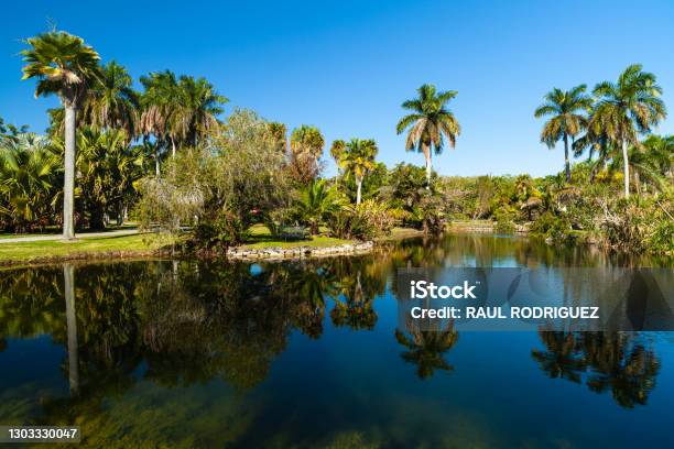 Botanical Garden Stock Photo - Download Image Now - Florida - US State, Botanical Garden, Lake