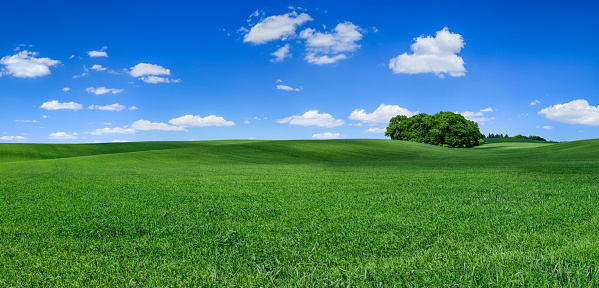 Panoramic spring landscape - green fields, sky with clouds - 104 MPix XXXXL size\n This panoramic landscape is an very high resolution multi-frame composite and is suitable for large scale printing.