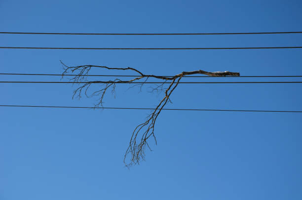 rama caída se encuentra en cables de alta tensión. existe el riesgo de interrupción y cortocircuito del suministro de electricidad a los hogares y los puntos de consumo después de un fuerte estallido. cielo azul - tree broken branch dividing fotografías e imágenes de stock