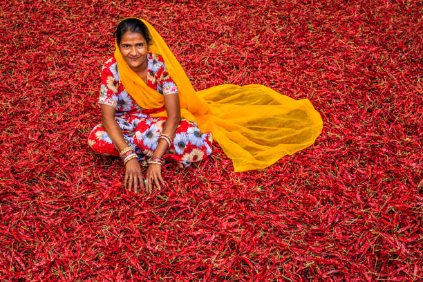 istock Young Indian woman sorting red chilli peppers, Jodhpur, India 1303332845