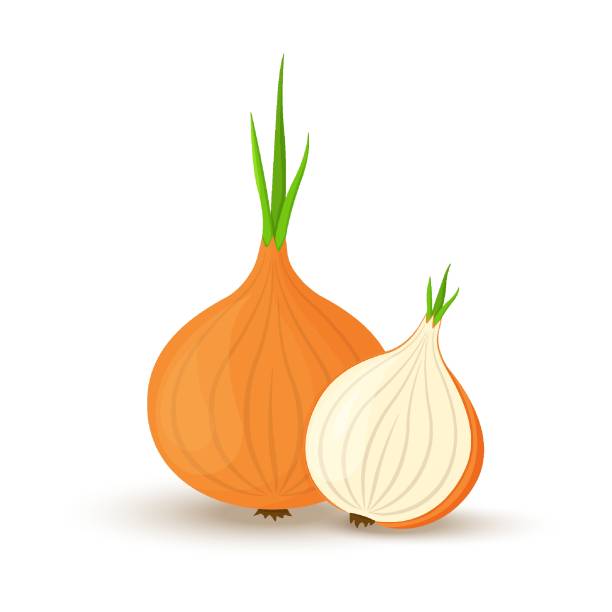 Web Onion. Whole onion and cut onion. Flat simple design. Vector illustration of organic farm fresh vegetables. Isolated on white background. onion stock illustrations