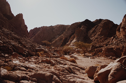 Sandstone rocks of strange forms in Sinai desert. Hammada desert landscape. Egypt. South Sinai. Wadi Gazala. Landscape