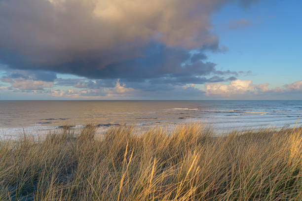 istock Sunset View from dune top over North Sea from the dutch islands 1303336083
