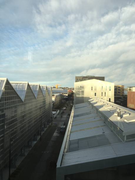 istock Nantes city rooftop view at sunrise 1303337566