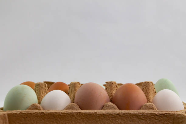 Green, brown and white eggs in a egg box