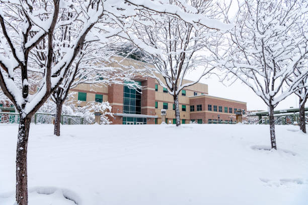 istock Meridian City park with fresh winter snow 1303341221