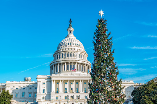 The west side of the United States Capitol Building on a winter day with the National Christmas tree