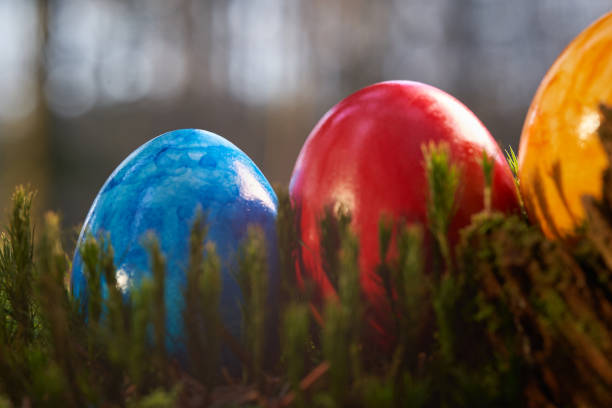 istock Focus on blue easter egg, three eggs on the mossy forest floor. Close up. 1303342704