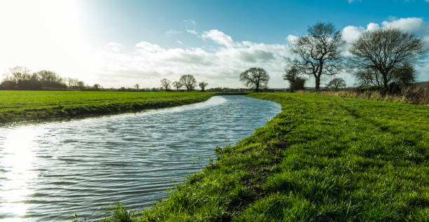 istock Sinai Park Burton on Trent England 1303343562