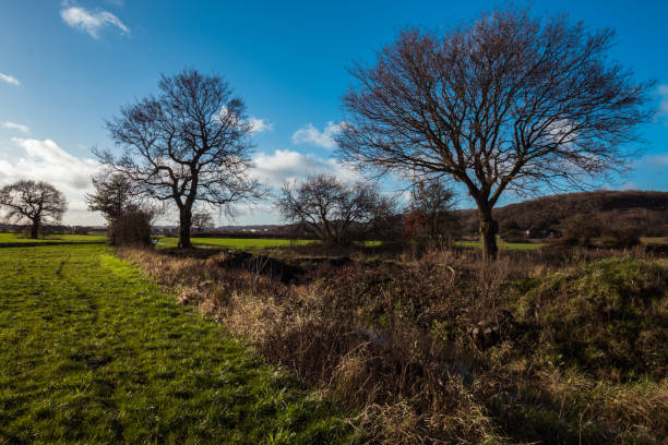 istock Sinai Park Burton on Trent England 1303343665