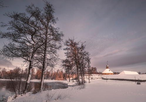 winter landscape with blizzard