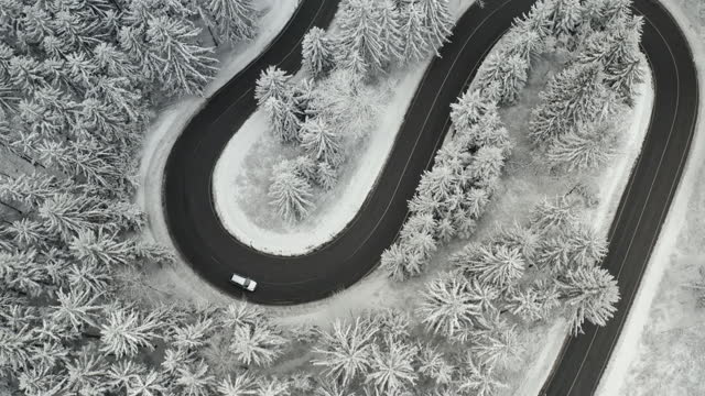 Top view of a car moving on the curvy road in frozen forest with high pine or spruce trees covered with snow. S shape serpentine road.
