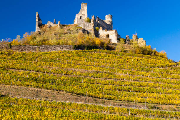 Ruins of Senftenberg, Krems-Land District, Lower Austria, Austria