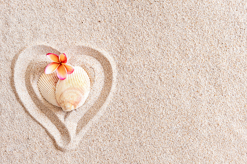 Two seashells in the shape of a heart on a smooth sandy beach with copy space