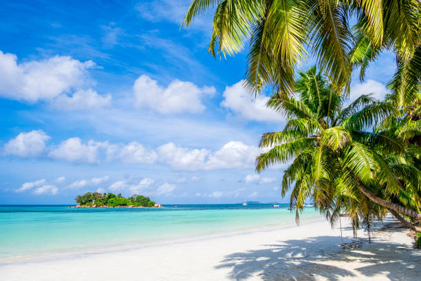 istock Single tropical island with blue sky and turquoise water, Seychelles 1303346888