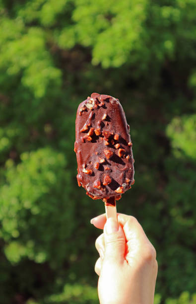 istock Delectable Chocolate Dipped Ice Cream Bar in Hand against  Blurry Green Foliage 1303348414
