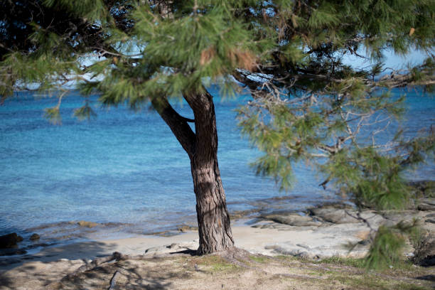 istock seawater, calm water 1303349558
