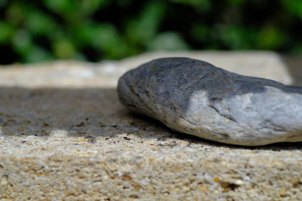Macro photography of a single stone lying on the ground