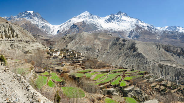 istock Terraced fields in Muktinath valley, Annapurna Circuit 1303351003