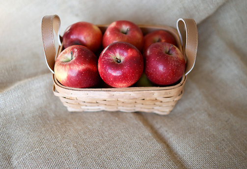 Autumn goodies bascket containing grappes, pears, apples and plums