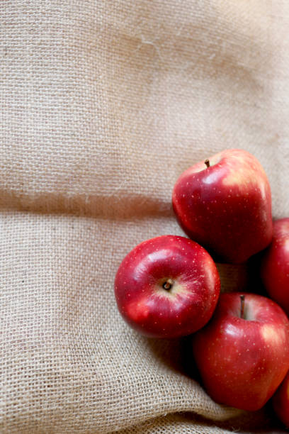 wenige rote reife äpfel auf sackleinen stoff - burlap fruit apple freshness stock-fotos und bilder