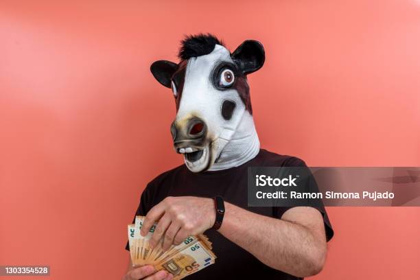 Person With Funny Latex Cow Mask Counting Money Stock Photo - Download  Image Now - 45-49 Years, Achievement, Business - iStock