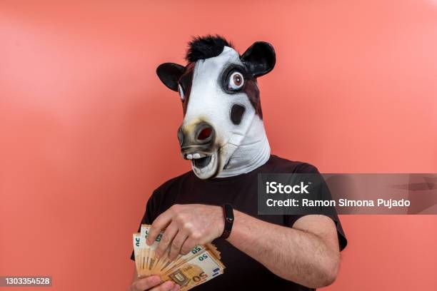 Person With Funny Latex Cow Mask Counting Money Stock Photo - Download Image Now - 45-49 Years, Achievement, Business - iStock Person With Funny Latex Cow Mask Counting Money Stock Photo - Download Image Now - 45-49 Years, Achievement, Business - iStock