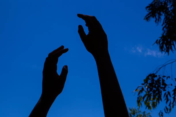 Young adults silhouettes on top of a mountain during sunset.