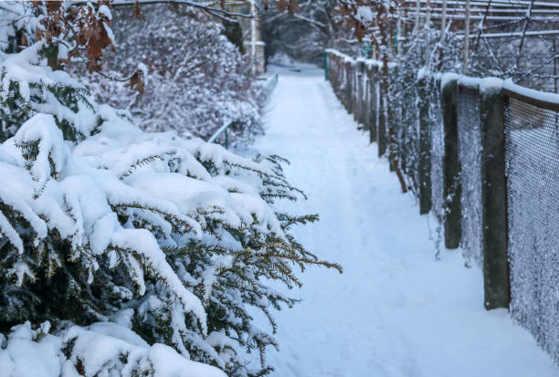Snow covered path in the park along the mesh fence