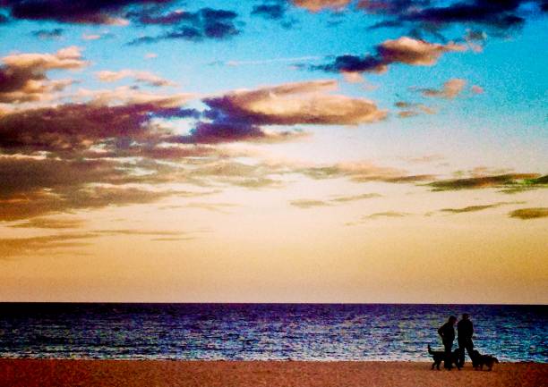 istock Dog Walkers on the Beach 1303362171