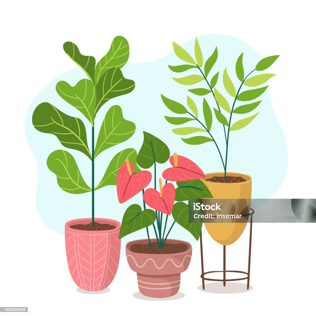 Beautiful Green Houseplants And Flowers Composition Stock ...