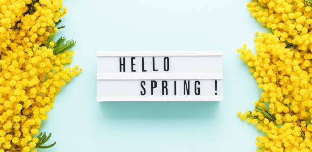 istock HELLO SPRING written in a light box and Mimosa flowers border on a light blue background. Spring concept. 1303364447