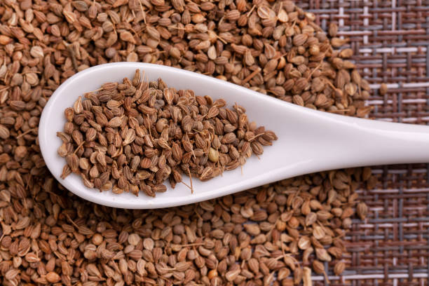 istock Anise seeds in a wooden spoon. Spice. 1303364988