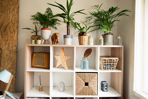 Modern home shelf with personal accessories