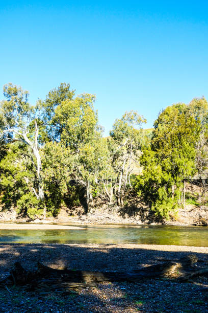 istock Gundagai, NSW, Australia 1303370024