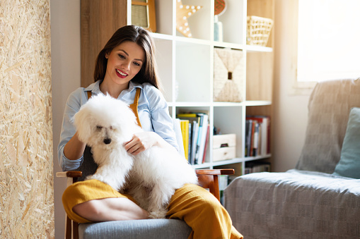 Beautiful, Caucasian ethnicity woman is sitting in a chair and playing at home with her cute Bichon frise breed dog.