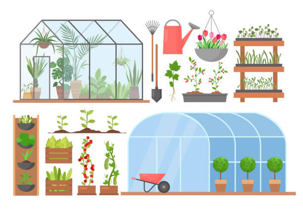 gewächshaus blumenpflanze gemüseanbau set, cartoon gewächshäuser für die pflanzung - aeroponics stock-grafiken, -clipart, -cartoons und -symbole